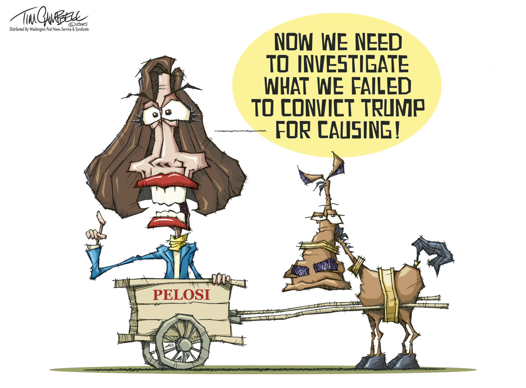 Tim Campbell cartoon